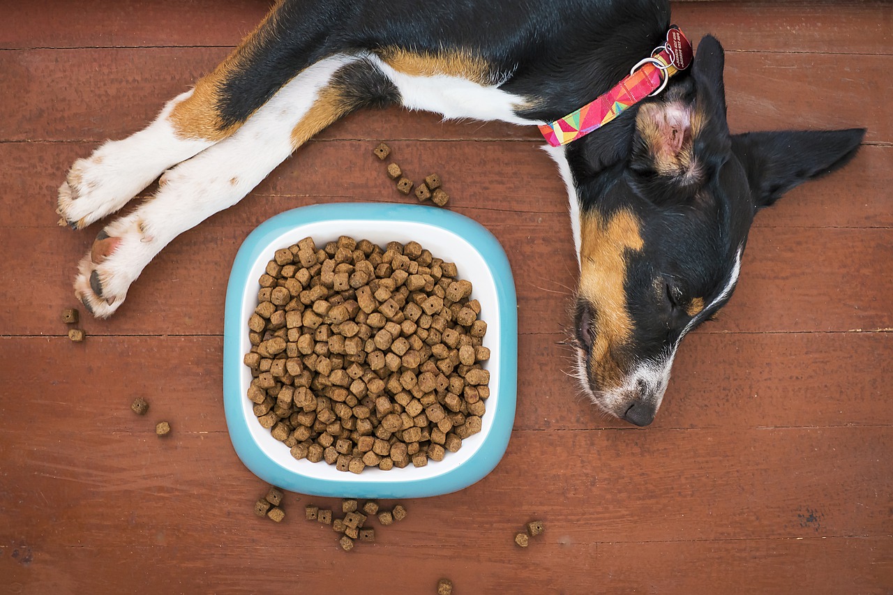 dog food poisoning