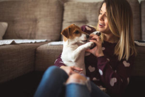 16 Things All Jack Russell Owners Must Never Forget