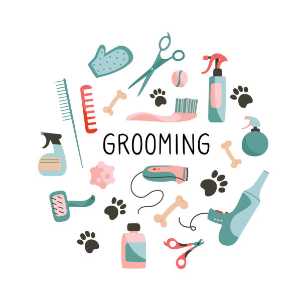 DIY Grooming Tips for Whippet Jack Russell Mix Breed