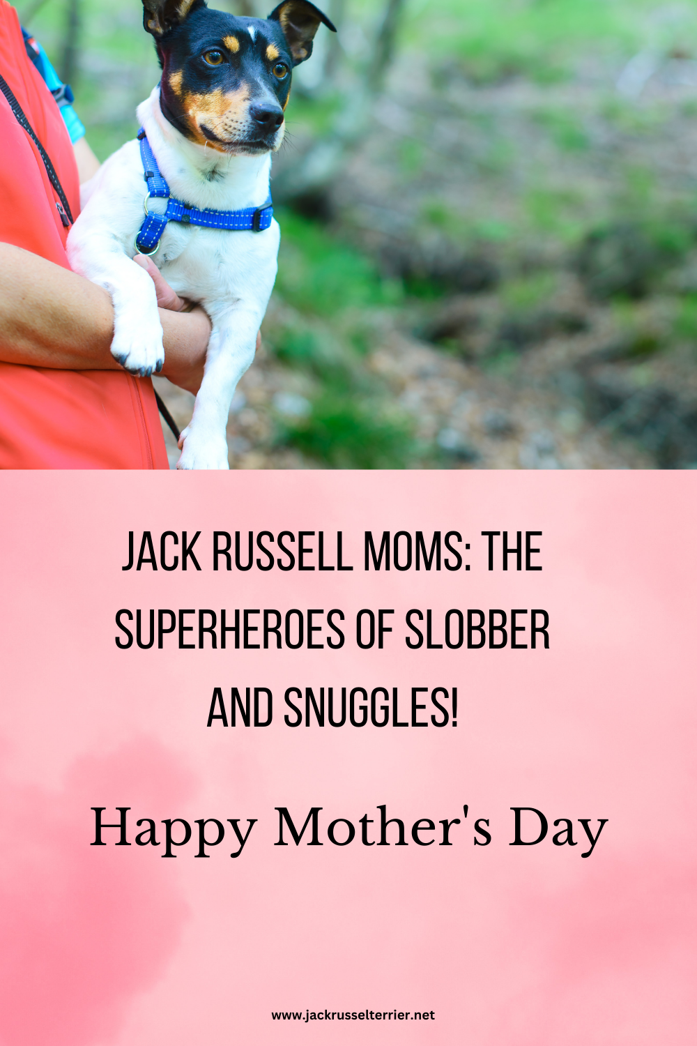 quotes about mom dog jackrussell moms